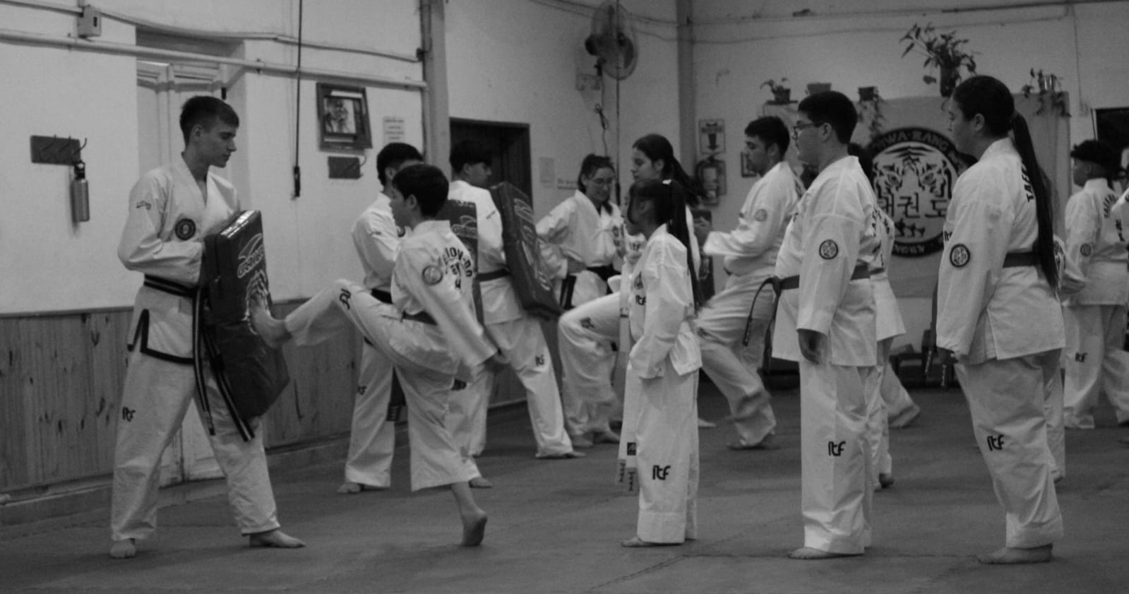 Bienvenido al Blog de HWA-RANG: El Camino del Taekwondo ITF en Alta Gracia