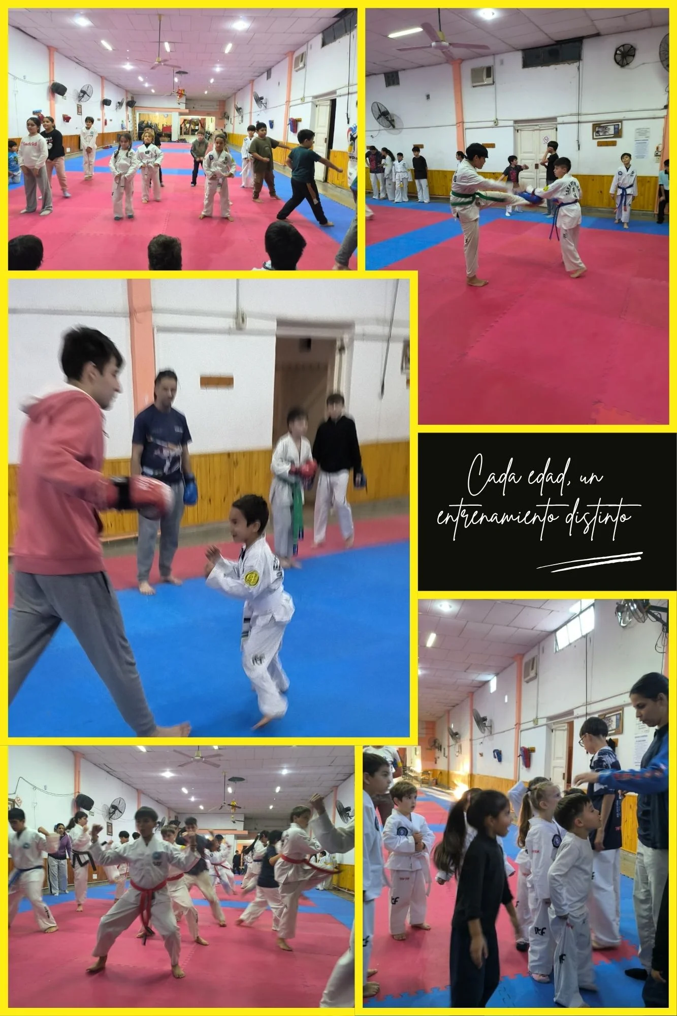 Cómo trabajamos en Taekwon-Do según la edad: clave para el desarrollo real de tu hijo
